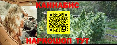 гидра Ставрополь