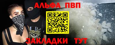 гидра Ставрополь