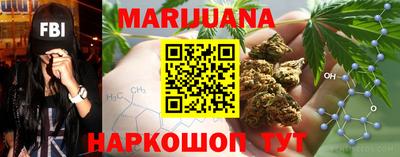 гидра Ставрополь