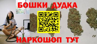 гидра Ставрополь